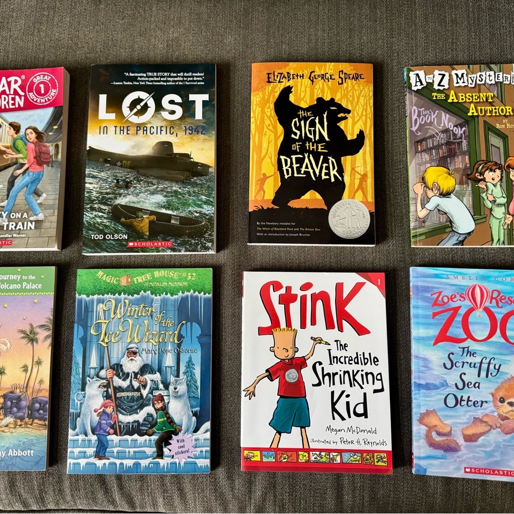 Set of Youth Fiction Books